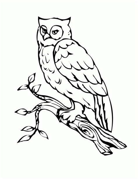 owl preschool coloring pages coloring home