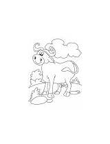 Buffalo Coloring Relaxed Cool Milkman sketch template