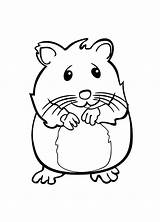Hamster Coloriage Animal Fishes Bestcoloringpagesforkids Relacionadas sketch template
