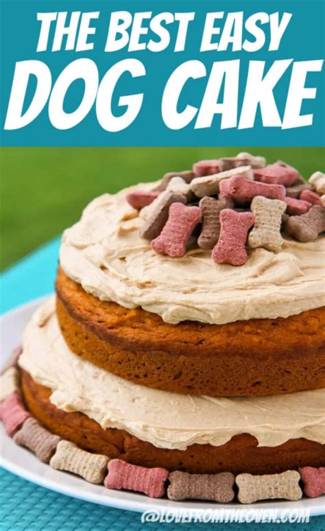 spoiled dog cake recipe love   oven dog cake recipes