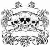 Roses Skulls Scrolls Skeleton Banner Colouring Stockfresh sketch template
