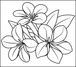 tropical flower coloring page printables apps  kids