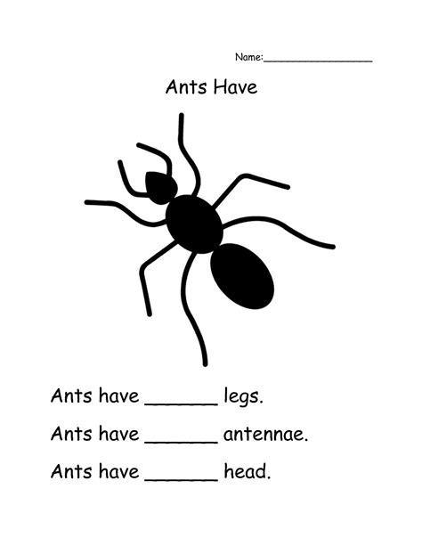 printable worksheet letter  ants worksheetocom