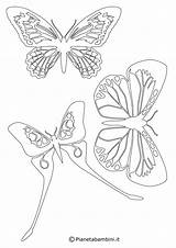Farfalle Sagome Ritagliare Stampare Pianetabambini Tatuaggio Fiori Bacheca sketch template