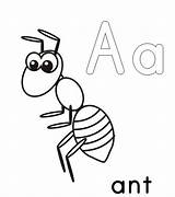 Ant Coloring Pages Alphabet Printable Kids Template Color Drawing Print Ants Grasshopper Book Cartoon Apple Preschool Clipartmag Anthill Queen Getdrawings sketch template