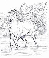 Colorare Cavalli Cavallo Stampa Majestic Disegnidacolorareperadulti Ballerine sketch template