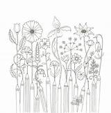 Johanna Basford Coloring Etsy Books Pages Flower sketch template