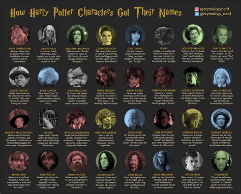 infographic explaining  origins   harry potter character names harrypotter
