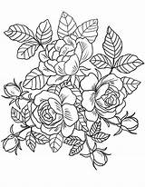 Adults Floral Coloring Pages Tsgos sketch template