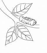 Caterpillar Coloring Kids Pages Printable sketch template