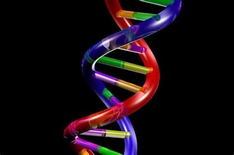 synthetic dna  rna  mimics chemistry  life  encode genetic information  evolve