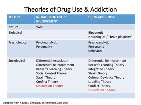 ppt theories of drug use and addiction powerpoint