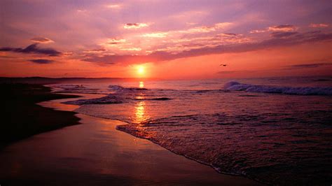 beach sunset beach