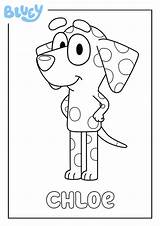 Bluey Chloe Rusty Colouring sketch template