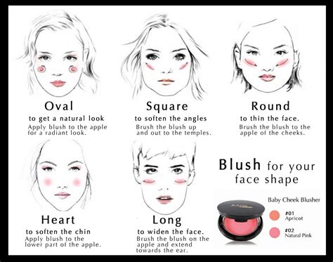 blush bronzer  highlighter tips  beginner     apply blush face