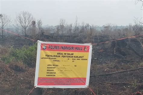 kebakaran lahan  indragiri hulu mengarah  kebun sawit milik swasta