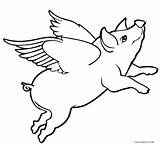Pig Coloring Pages Flying Drawing Sketch Cute Pigs Baby Wings Fly Paintingvalley Silhouette Cool2bkids Getcolorings Printable Guinea sketch template