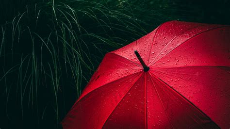 umbrella  wallpaper red rain droplets rainy day
