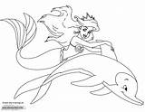 Ariel Sirene Dolphin Arielle Meerjungfrau Triton Filles Jeune Delfini Amordepapeis Sirenetta Disneyclips Princesse Enchantimals Schonsten Flounder sketch template