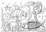 Coloring Fishes sketch template