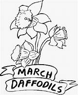 Coloring March Pages Printable Daffodils Flowers Flower Sheets Color Kids Print Sheet Month Spring Natural Coloringpages101 Months Online Scribblefun Getcolorings sketch template