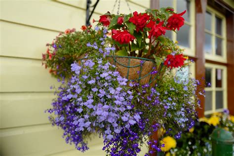 flowers  porch pots transform  outdoor space