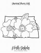 Ohio Flower State Coloring Pages Choose Board sketch template