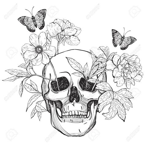 skull flowers  butterfly tattoo art coloring books vintage