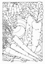 Groenten Verdure Kleurplaat Colorare Kleurplaten Wortel Schoolplaten sketch template