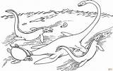 Elasmosaurus Tylosaurus Dinosaurios Archelon Hesperornis Mosasaurus Ausmalbild Jurassic Dinozauri Ammonite Mosasaur Dinosaurukset Supercoloring Dinosaurier Colorear Stampare Malvorlagen Dinosaur Varityskuvia Saurier sketch template