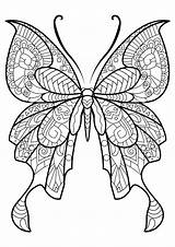 Papillon Coloriage Motifs Jolis Insectes Adultes Coloriages Superbes sketch template