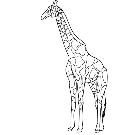 baby giraffe coloring pages  getcoloringscom  printable