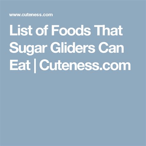 list  foods  sugar gliders  eat cutenesscom sugar glider food sugar glider sugar