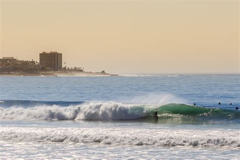 Top 10 Surf Colleges In America Best Colleges
