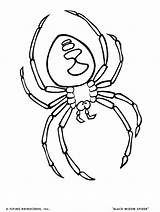 Coloring Pages Tick Bug Template Spider sketch template