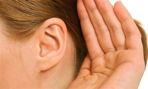 Causes Of Hearing Loss Sound Relief Hearing Center