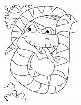 Coloring Pages Snake Python Boa Anaconda Jumbo Printable Cobra Constrictor King Snakes Print Animals Very Kids Library Book Color Clipart sketch template