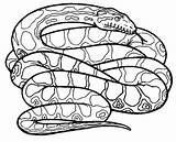 Anaconda Colouring Rattlesnake Snakes Anacondas Poisonous Coloringsky sketch template