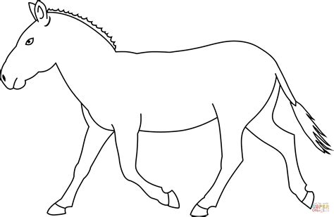 zebra coloring pages  stripes