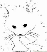 Cat Connect Dot Dots Small Kids Cats Printable Worksheet Worksheets Animals Connectthedots101 Online sketch template