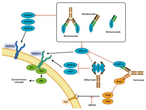 biomedicines  full text biomarkers  predictive factors