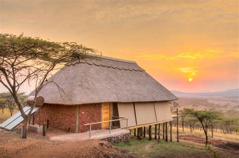 lahia tented lodge tansania safaris
