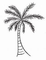 Date Palm Coloring Pages sketch template