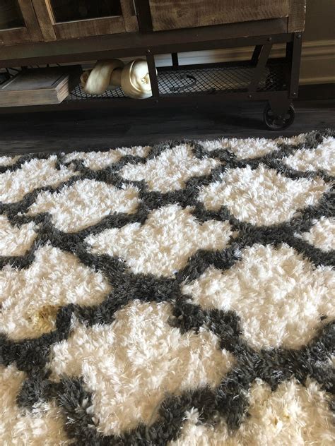 whats     clean dog poo    white carpet