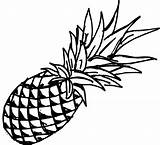 Pineapple Clipground Atis Pngfind Onlygfx Pinclipart Clipartmag Webstockreview Kindpng Collections sketch template