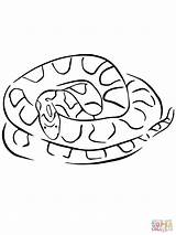Corn Coloring Snake Pages Drawing Printable Rat Sweet Snakes Supercoloring Getdrawings sketch template