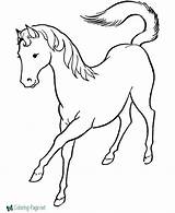 Horse Coloring Pages Mare sketch template