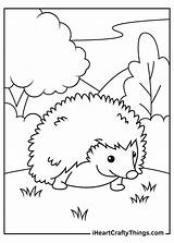 Hedgehog Cute Iheartcraftythings sketch template