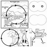 Oxygen Cycle Clip Set Preview sketch template