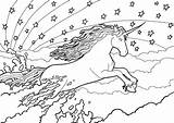 Einhorn Regenbogen Springen Einhörner Unicorns Rainbows Himmel sketch template